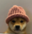 dogwifhat